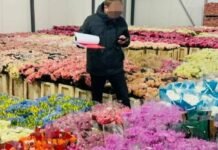 Одесский бизнесмен скрыл более 10 млн грн налогов, — ФОТО