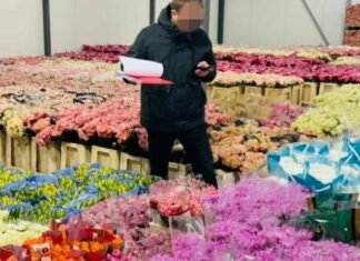 Одесский бизнесмен скрыл более 10 млн грн налогов, — ФОТО