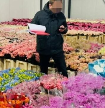 Одесский бизнесмен скрыл более 10 млн грн налогов, — ФОТО