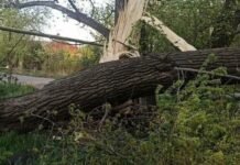 В Одессе из-за непогоды есть обрывы линий электропередач и уличного освещения, — ФОТО