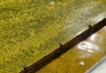 Для расчистки воды от масла в Одесской области в море вышли нефтесборщики