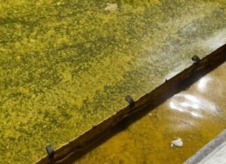 Для расчистки воды от масла в Одесской области в море вышли нефтесборщики