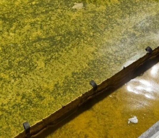 Для расчистки воды от масла в Одесской области в море вышли нефтесборщики