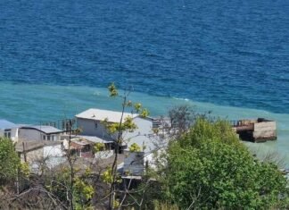 Пляжи Одессы покрывает масло: после удара РФ загрязнены сотни километров