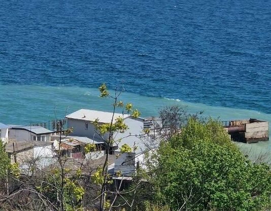 Пляжи Одессы покрывает масло: после удара РФ загрязнены сотни километров
