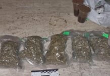 В Одессе накрыли наркоторговца с рекордным количеством «товара» на 8 млн грн, — ФОТО