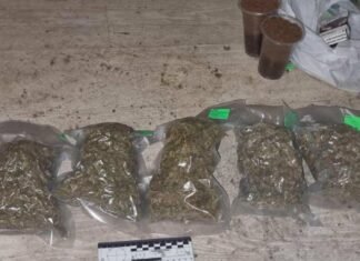 В Одессе накрыли наркоторговца с рекордным количеством «товара» на 8 млн грн, — ФОТО