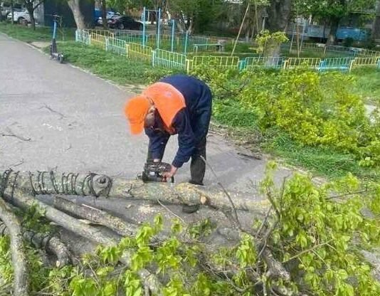 В Одессе ветер свалил 37 деревьев. Погода будет ухудшаться, – ФОТО