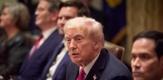 Не выражает мнение Великобритании: Трампу не понравилась речь принца Гарри об Украине и США