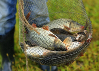 В Украине запретили рыбалку: жесткие ограничения уже с 1 апреля