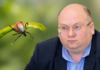 Киев атакует болезнь Лайма: какие симптомы и как не допустить менингит