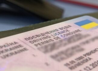 Работник Одесского припортового получил приговор за торговлю водительскими удостоверениями