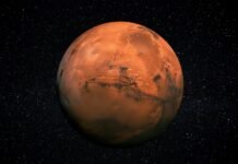 Некоторые существа могут жить прямо сейчас на Марсе: кто они
