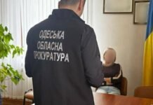 В Одесской области сельский голова подарил теще 13 участков земли, — ФОТО