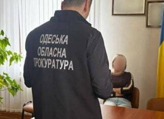 В Одесской области сельский голова подарил теще 13 участков земли, — ФОТО