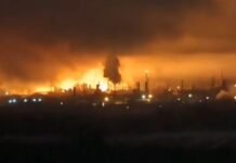 «Бьем вербой и дронами»: в СБС подтвердили удары по порту Приморск и «Лукойлу»