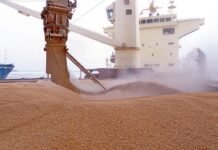 «Это не доказательства»: в Израиле ответили на заявление Украины относительно судна с краденым зерном