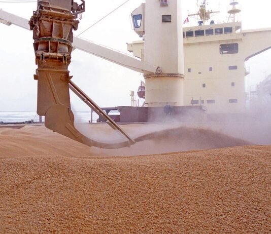 «Это не доказательства»: в Израиле ответили на заявление Украины относительно судна с краденым зерном