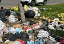 Мусорный коллапс в Одессе: за неделю обнаружили новые свалки, — ФОТО