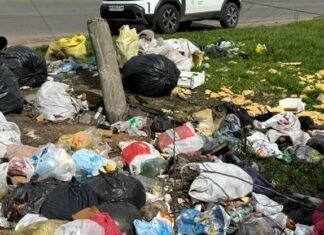 Мусорный коллапс в Одессе: за неделю обнаружили новые свалки, — ФОТО