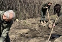 В парке имени Тараса Шевченка в Одессе появились особые дубы с историей, – ФОТО