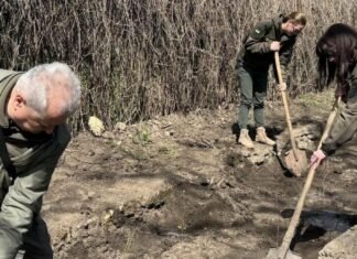 В парке имени Тараса Шевченка в Одессе появились особые дубы с историей, – ФОТО