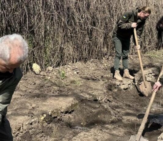 В парке имени Тараса Шевченка в Одессе появились особые дубы с историей, – ФОТО