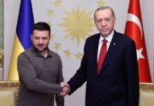 Зеленский: Украина и Турция планируют строить газовую инфраструктуру