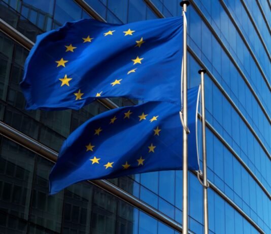 В ЕС боятся новых членов: Politico назвало главных противников вступления Украины