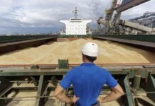 Украина просит Израиль о правовой помощи по судну с краденым зерном, — источники