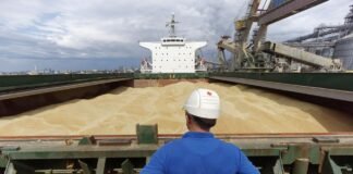 Украина просит Израиль о правовой помощи по судну с краденым зерном, — источники