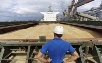 Украина просит Израиль о правовой помощи по судну с краденым зерном, — источники