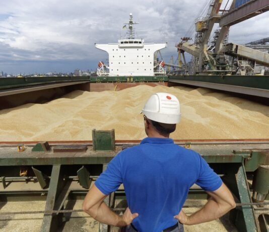 Украина просит Израиль о правовой помощи по судну с краденым зерном, — источники