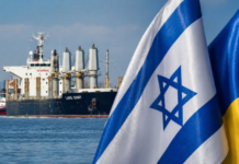 Украина требует ареста судна с краденым зерном: Офис генпрокурора передал Израилю документы