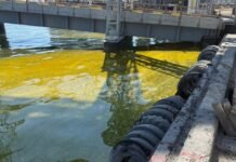 Из-за ударов РФ в порту Одесской области вылились тысячи тонн масла, в море — огромное пятно