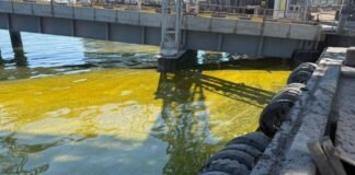 Из-за ударов РФ в порту Одесской области вылились тысячи тонн масла, в море — огромное пятно