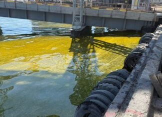 Из-за ударов РФ в порту Одесской области вылились тысячи тонн масла, в море — огромное пятно