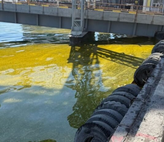 Из-за ударов РФ в порту Одесской области вылились тысячи тонн масла, в море — огромное пятно