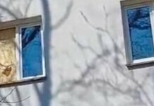 Коммунальщики вывезли тонны мусора, повреждены десятки квартир: последствия атаки на Одессу