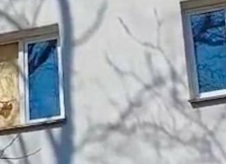 Коммунальщики вывезли тонны мусора, повреждены десятки квартир: последствия атаки на Одессу