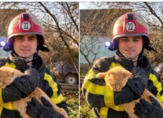 В Одесской области спасли котика из глубокого колодца