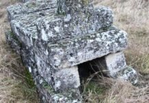 В Одесской области нашли уникальное казацкое кладбище с саркофагами, — ФОТО