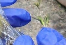 В Одессе женщина делала «закладки»: полиция нашла наркотики и координаты