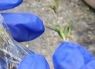 В Одессе женщина делала «закладки»: полиция нашла наркотики и координаты