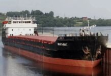 Возле оккупированной Херсонщины затонуло российское судно с пшеницей: что известно