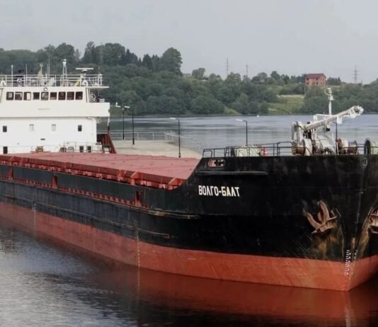 Возле оккупированной Херсонщины затонуло российское судно с пшеницей: что известно