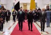 Оборона и продовольствие: Зеленский заявил о трехсторонней встрече Украина-Сирия-Турция