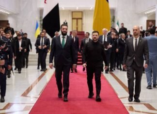 Оборона и продовольствие: Зеленский заявил о трехсторонней встрече Украина-Сирия-Турция