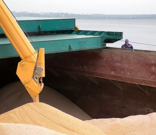 Скандал с краденым зерном: Израиль игнорирует запросы, МИД вручил «ноту протеста»