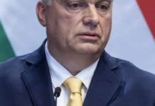 Газовый шантаж: Венгрия перекрывает Украине транзит — что это значит для Одесщины